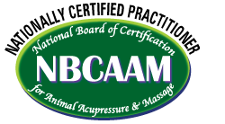 Nationally Certified Practitioner - NBCAAM